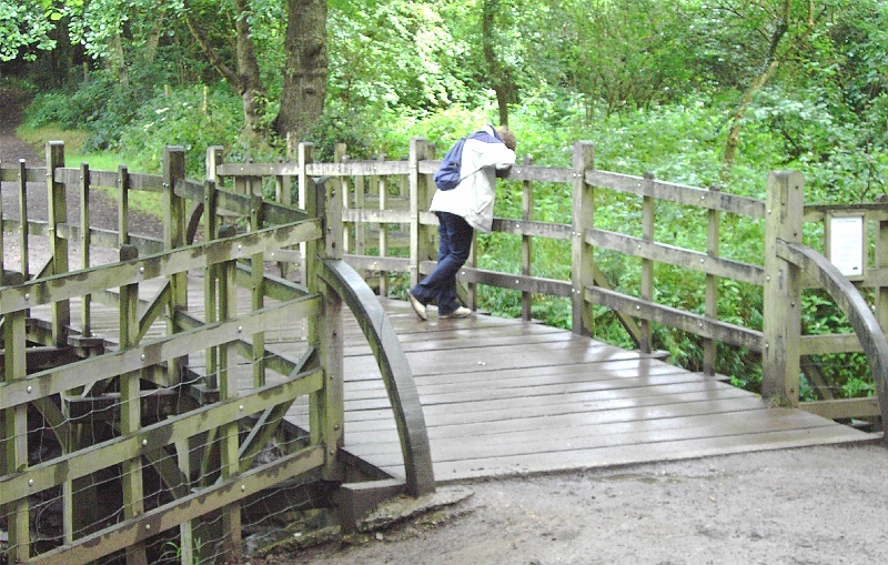 PICT0271 Pooh Bridge Ashdown Forest.JPG - Pooh Bridge Ashdown Forest